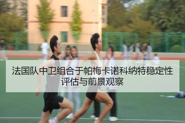 法国队中卫组合于帕梅卡诺科纳特稳定性评估与前景观察
